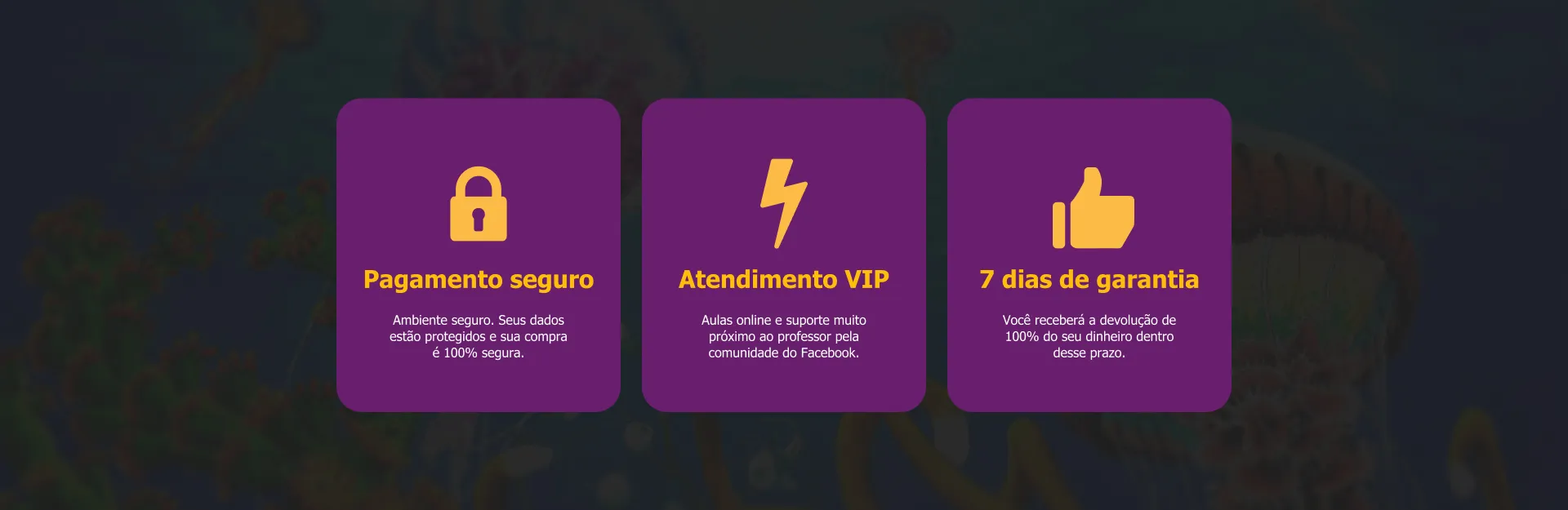 Imagem dos Cards de Pagamento Seguro, Atendimento VIP e 7 dias de garantia